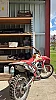 HONDA CRF R thumbnail