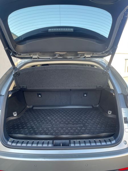Lexus Nx Lexus nx300h 4wd Luxe