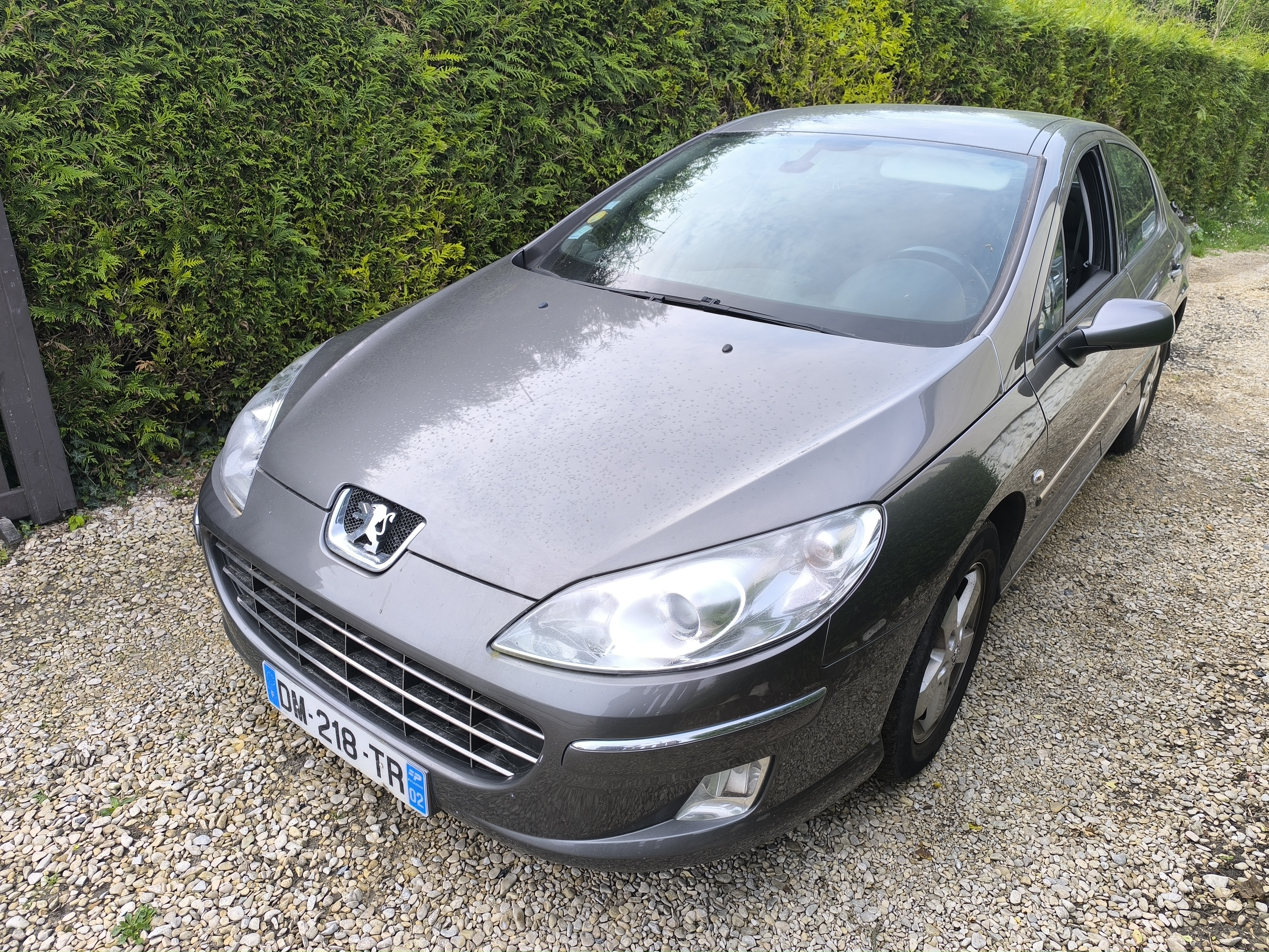 Peugeot 407 1.6 HDI 110 FAP NAVTEQ