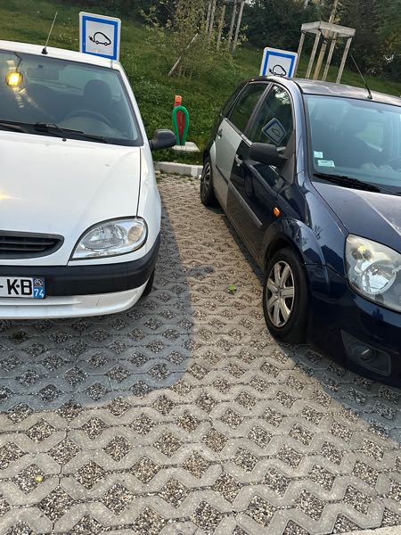 Ford Fiesta V 1600 TDCI 90 DPF ECONETIC 5P