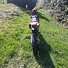 KTM EXC-F thumbnail