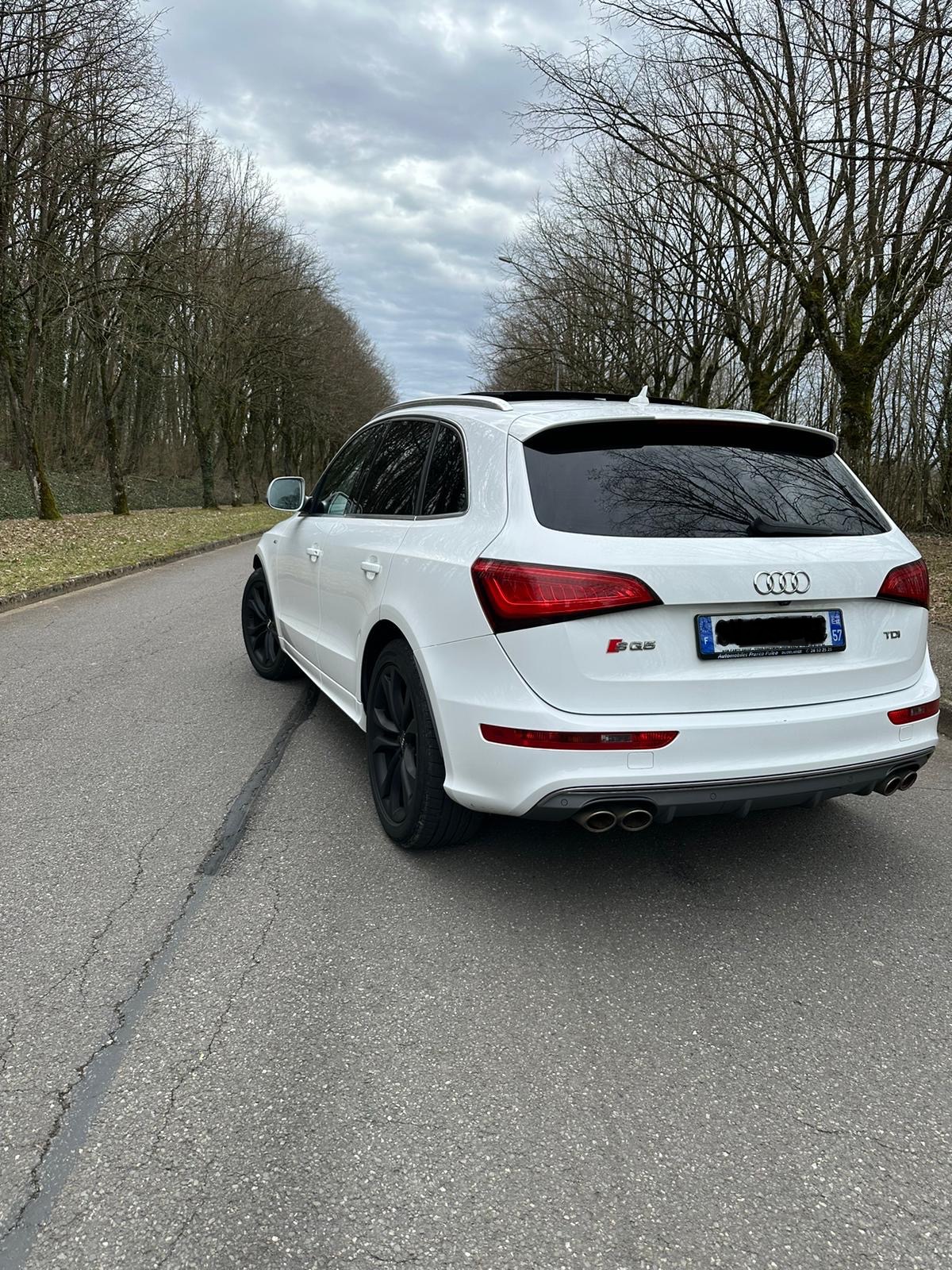 Audi SQ5 (2) 3.0 V6 BITDI 313 QUATTRO TIPTRONIC 8