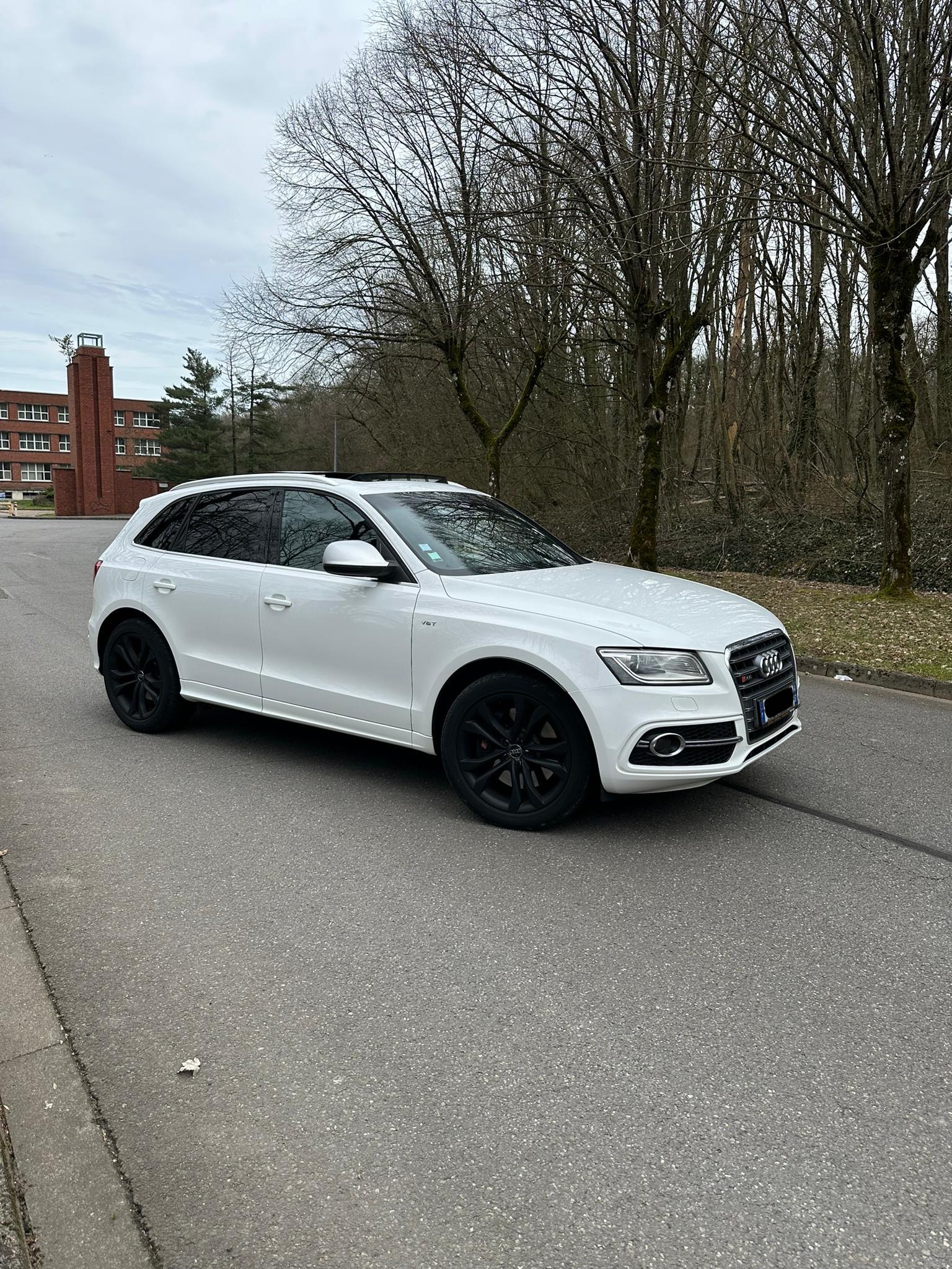 Audi SQ5 (2) 3.0 V6 BITDI 313 QUATTRO TIPTRONIC 8