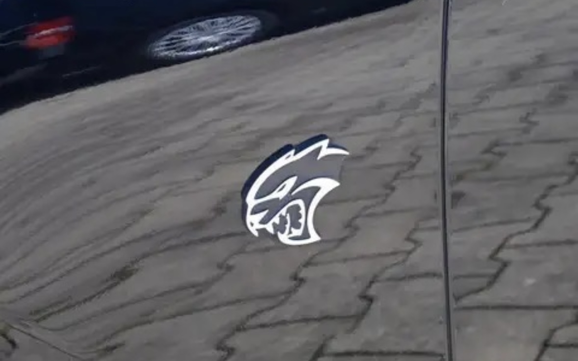 Dodge Charger J’ai cru que j’étais VinDiesel mais non j’suis juste Vincent