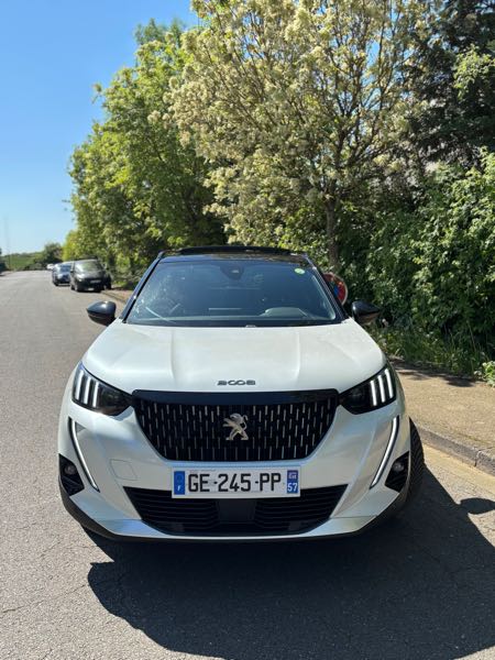 Peugeot 2008 II 1.5 BLUEHDI 130 S&amp;S GT EAT8