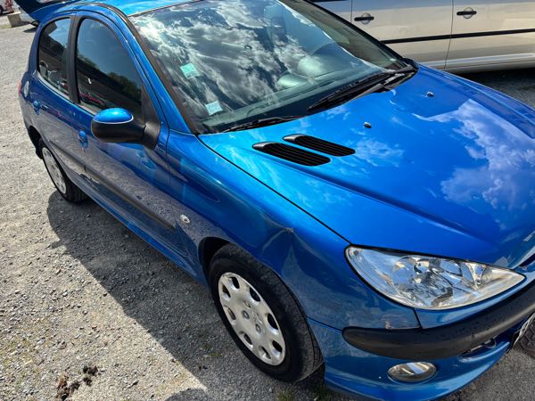 Peugeot 206 (2) 1.4 HDI 70 STYLE 5P