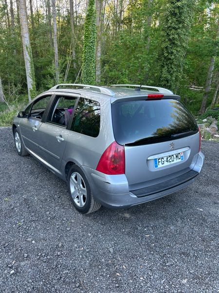Peugeot 307 Peugeot 307 2l 16V pack, griffes