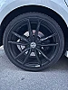 Volkswagen Golf VII 2.0 TSI 300 BLUEMOTION TECHNOLOGY R 4MOTION BVM6 5P thumbnail