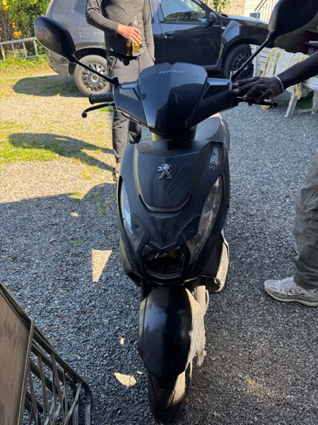 PEUGEOT STREETZONE 12