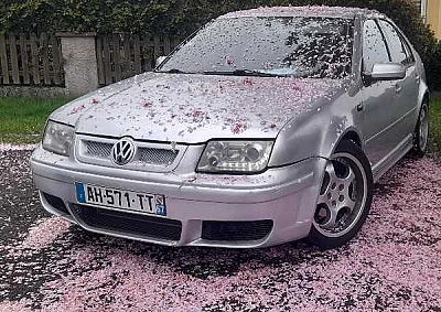 Volkswagen Bora WV BORA TDI 150 SPORT