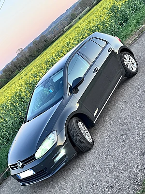 Volkswagen Golf VII 1.6 TDI 105 BLUEMOTION TECHNOLOGY CONFORTLINE BUSINESS 5P