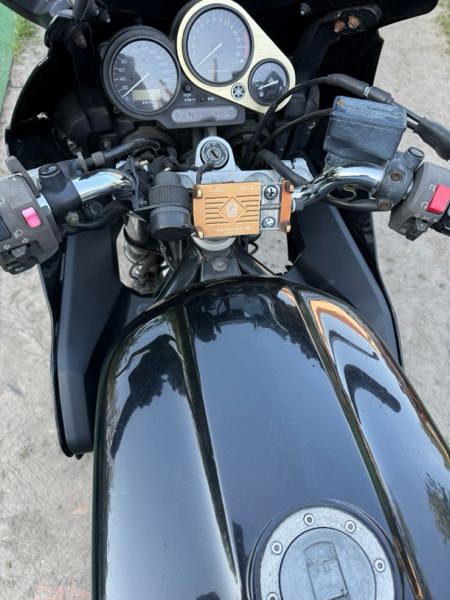 YAMAHA FZS FAZER