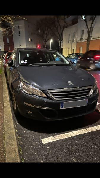 Peugeot 308 308