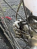 125 sx 2016 thumbnail
