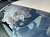 Fiat 500 E 118 Ch Icone thumbnail