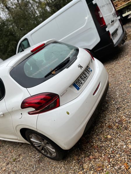 Peugeot 208 1.6 E-HDI FAP 92 4CV BUSINESS PACK 5P