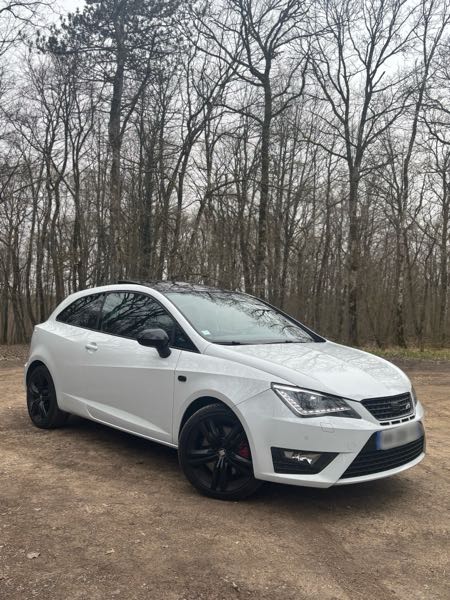 Seat Ibiza Seat Ibiza Cupra 192 6P