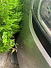 Renault Clio IV (2) ESTATE 1.5 DCI 90 BUSINESS EDC thumbnail
