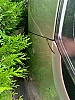 Renault Clio IV (2) ESTATE 1.5 DCI 90 BUSINESS EDC thumbnail