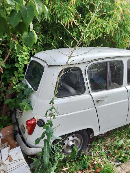 Renault Fuego Renault 4L 1991