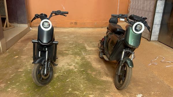 Electric Bike Company Model