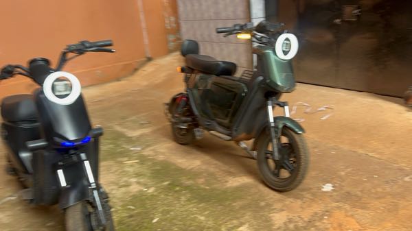Electric Bike Company Model