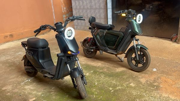 Electric Bike Company Model