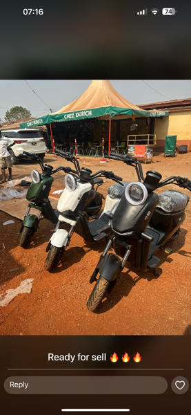 Electric Bike Company Model