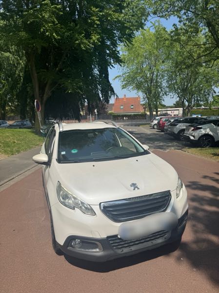 Peugeot 2008 1.6 E-HDI 115 FELINE CUIVRE