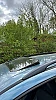 Volkswagen Sharan (2) TDI 115 thumbnail