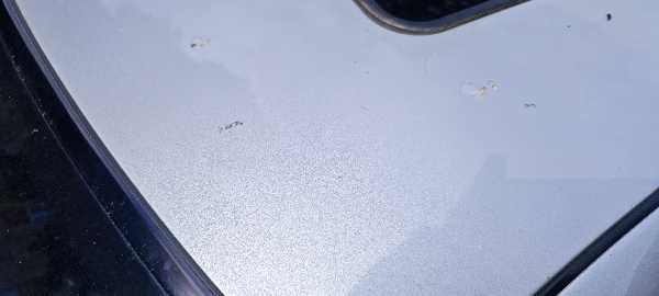 Mercedes-Benz Classe S V 55 AMG BVA