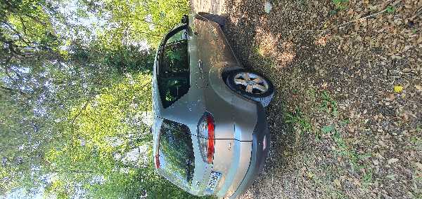 Ford S-max 1.8 TDCI 125 TITANIUM BV6