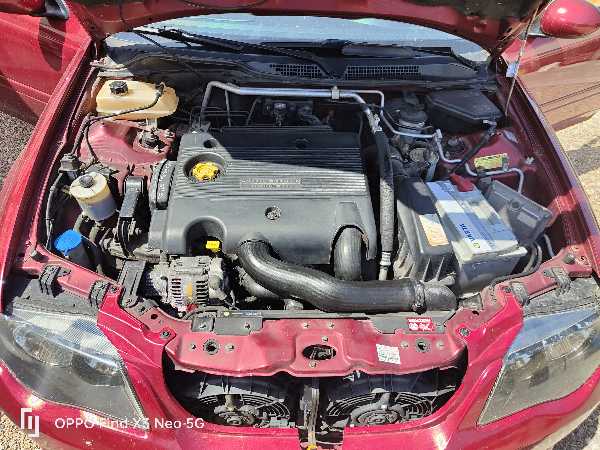 Mg Zs TD 113 4P