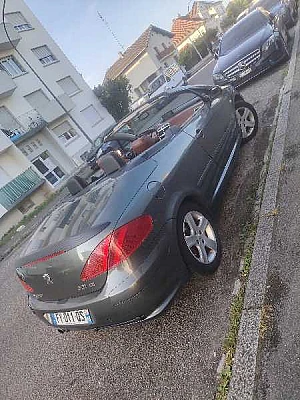 Peugeot 307 Peugeot 307cc 2.0 136 cv