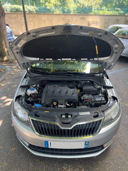 Skoda Rapid Skoda Rapid 1.6 TDI de 2014 en excellent état