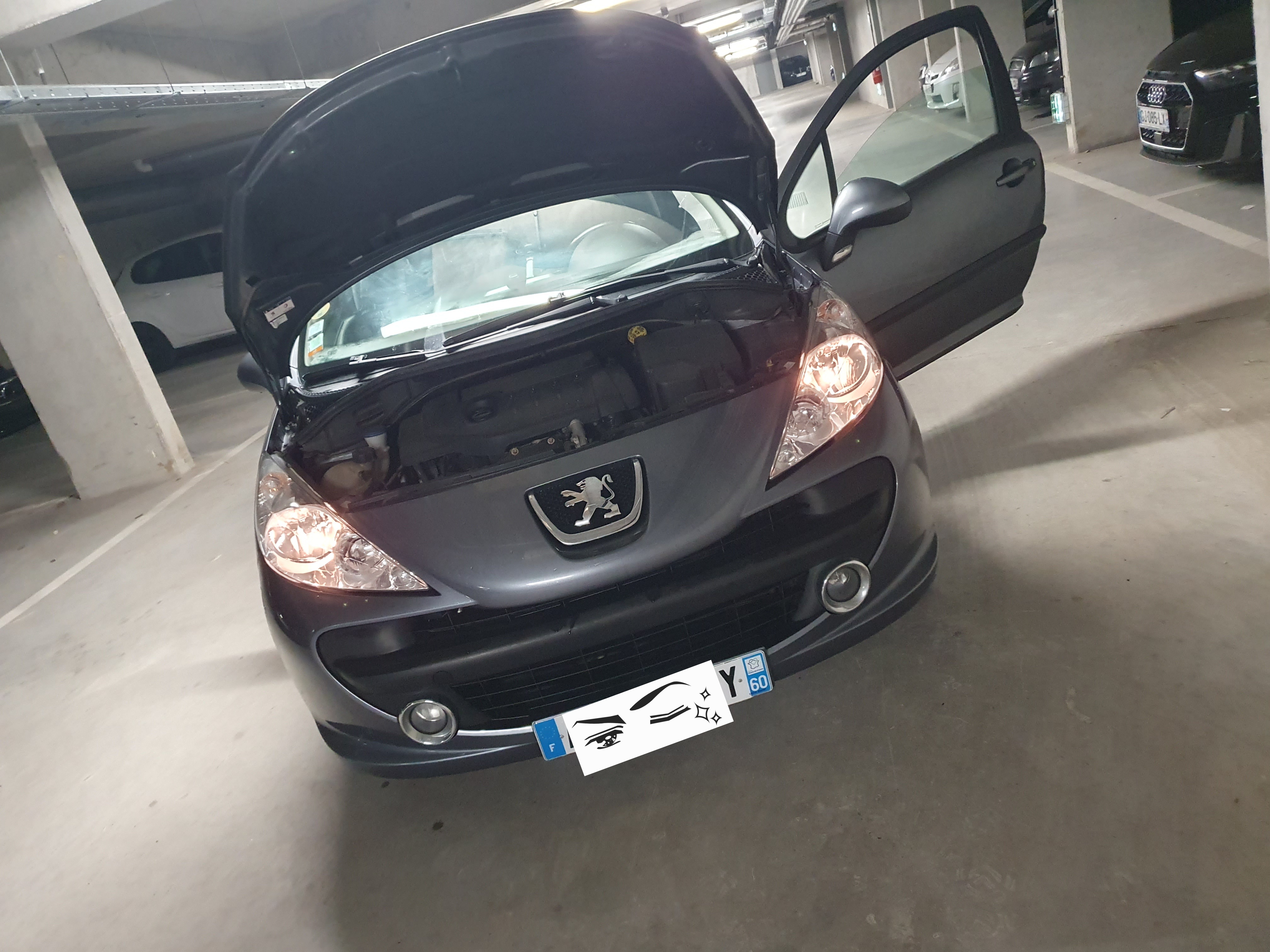 Peugeot 207 1.4 HDI 70 STYLE BLUE LION 3P