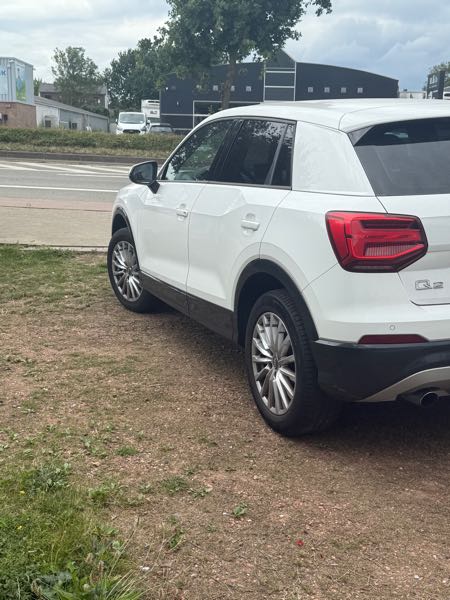 Audi Q2 1.0 TFSI 116 BUSINESS LINE S TRONIC