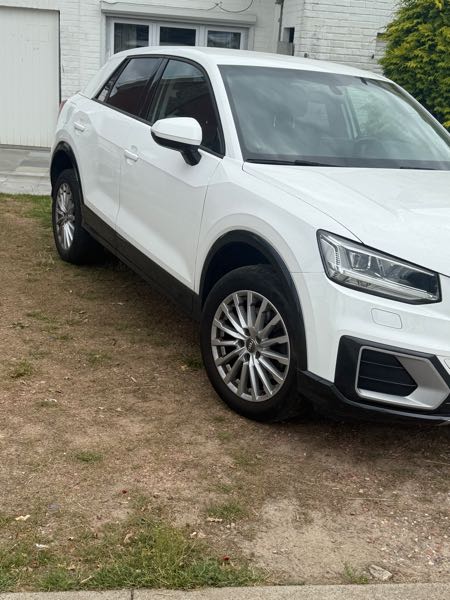 Audi Q2 1.0 TFSI 116 BUSINESS LINE S TRONIC