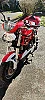 DUCATI MONSTER IE thumbnail