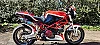 DUCATI MONSTER IE thumbnail