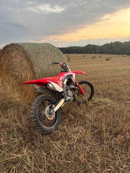HONDA CRF 450 2019