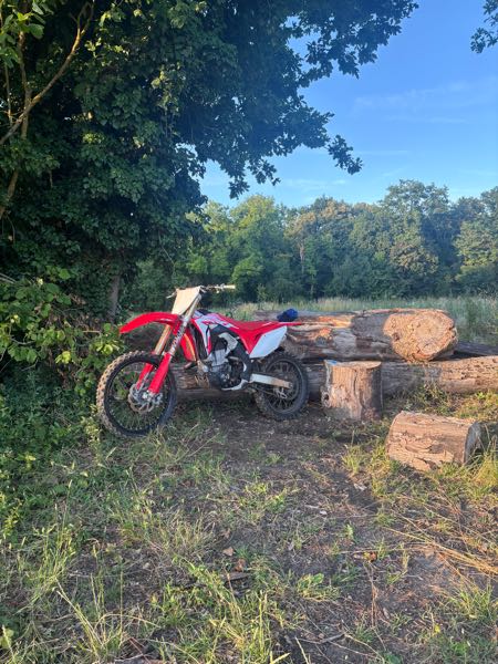 HONDA CRF 450 2019