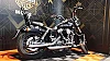 Street bob garantie 12 mois thumbnail