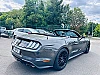 Ford Mustang VI (2) CONVERTIBLE 5.0 V8 GT 450 BVA10 thumbnail