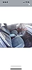 Peugeot 607 (2) 2.2 HDI 136 EXECUTIVE thumbnail