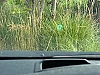 Toyota Prius Toyota Prius III phase 2 thumbnail
