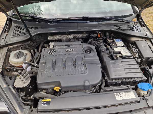 Volkswagen Golf VII 1.6 TDI 105 BLUEMOTION TECHNOLOGY CARAT DSG7 5P