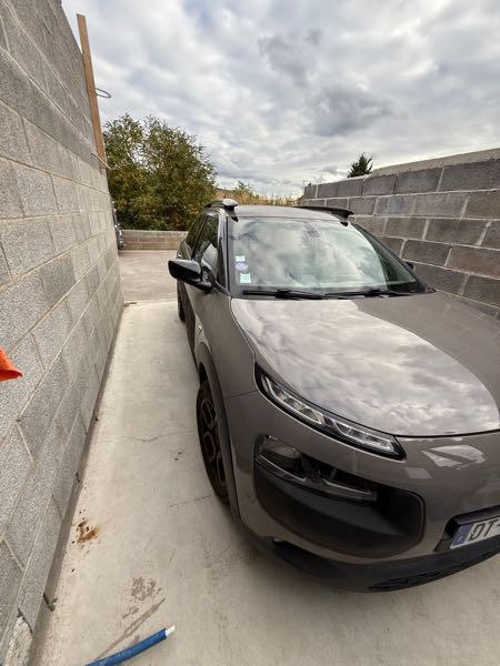 Citroen C4 citroen c4 cactus