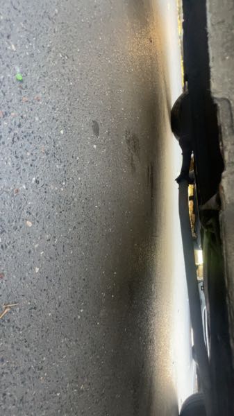 Renault Twingo Twingo 1 Phase 2