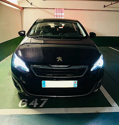 Peugeot 308 308